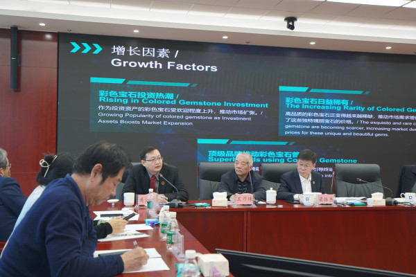 President of TGJTA Joins the 2025 Joint Conference of the National Jewellery and Jade Industry Association