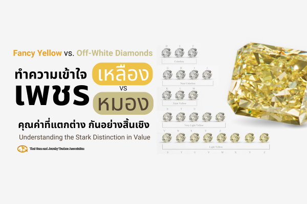 Understanding Fancy Yellow vs. Off-White Diamonds:  the Stark Distinction in Value