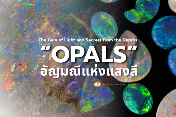 Unveiling the World of Opals: The Gem of Light and Secrets from the Depths