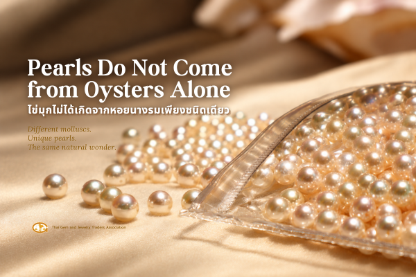 Pearls Do Not Come from Oysters Alone: 6 Pearl-Producing Molluscs