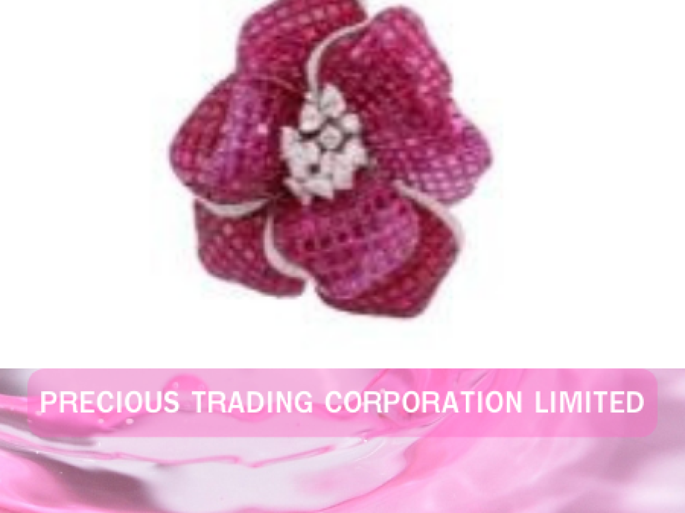 Precious Trading Corporation Limited