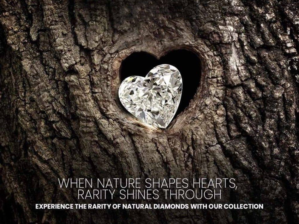 Shreeji Diamond Co.,Ltd.
