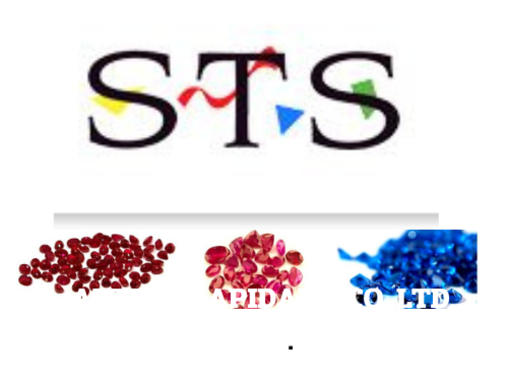 STS Global Co.,Ltd.
