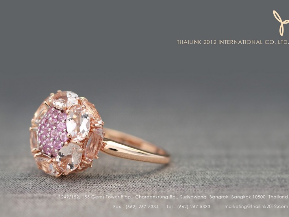 Thailink 2012 International Co.,Ltd.