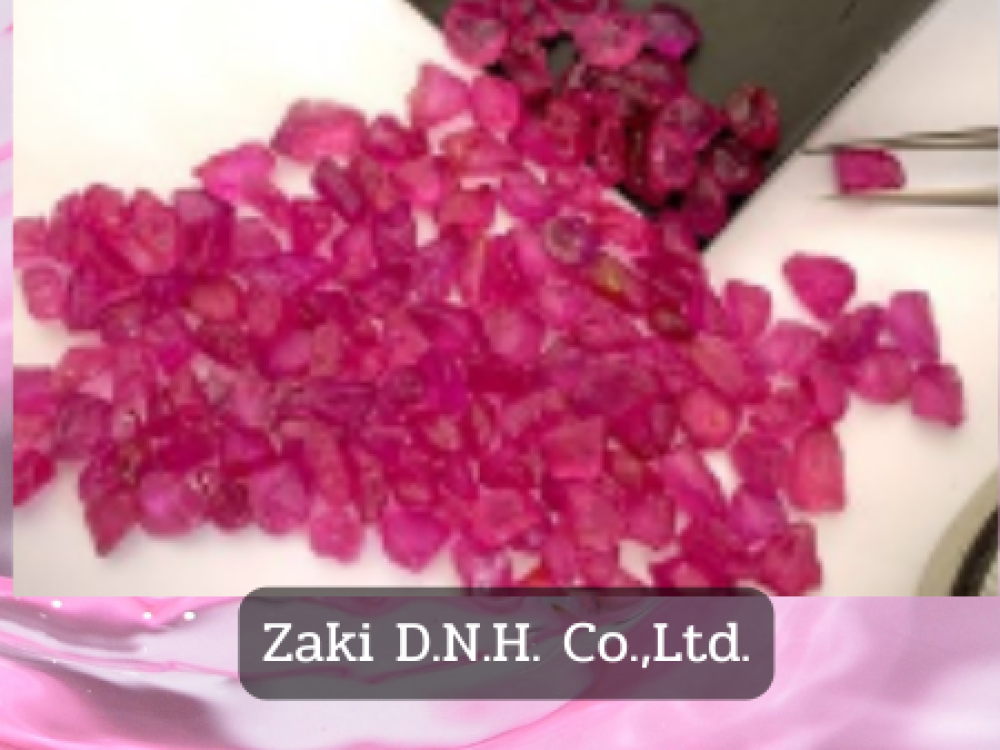 Zaki D.N.H. Co.,Ltd.