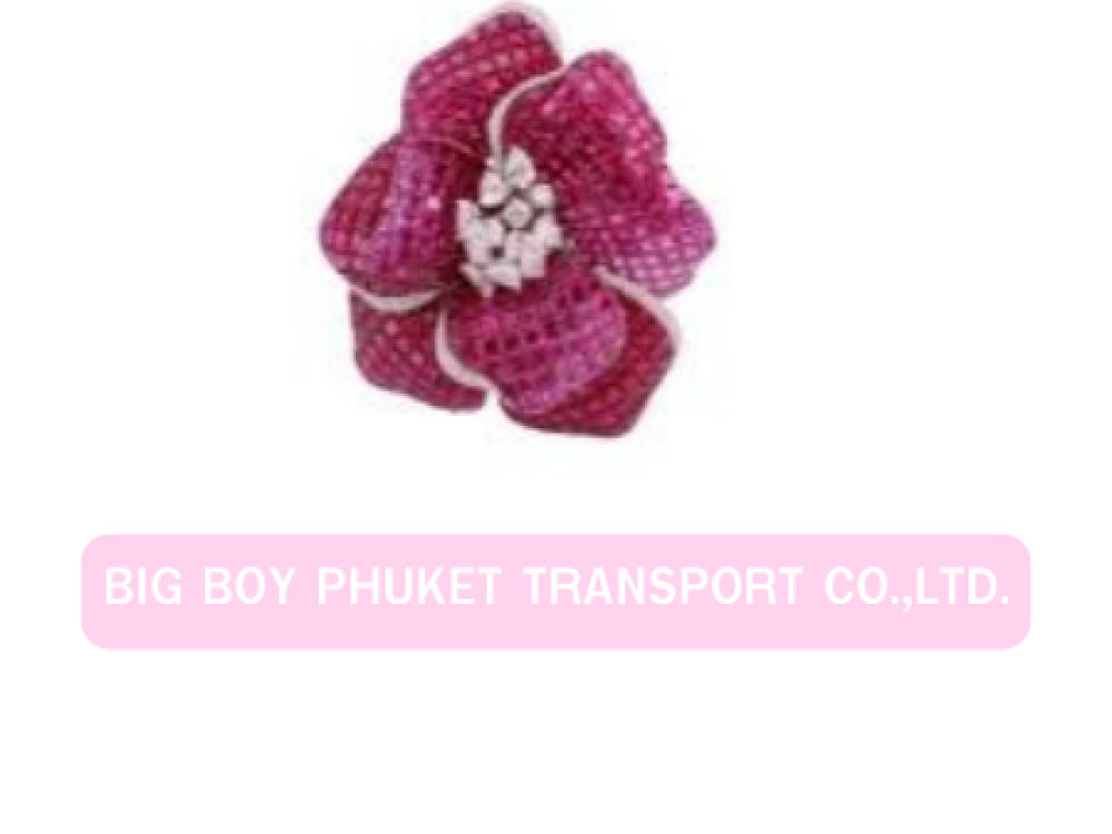 BIG BOY PHUKET TRANSPORT CO.,LTD.