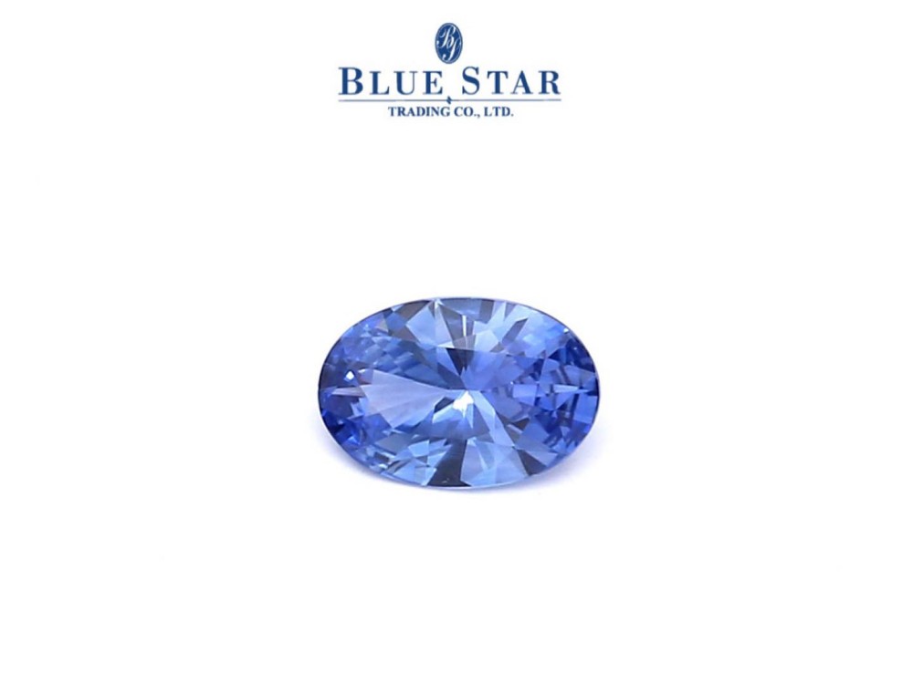 Blue Star Trading Co.,Ltd.