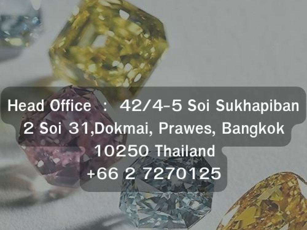 Japita Jewelry Manufacturers Ltd.