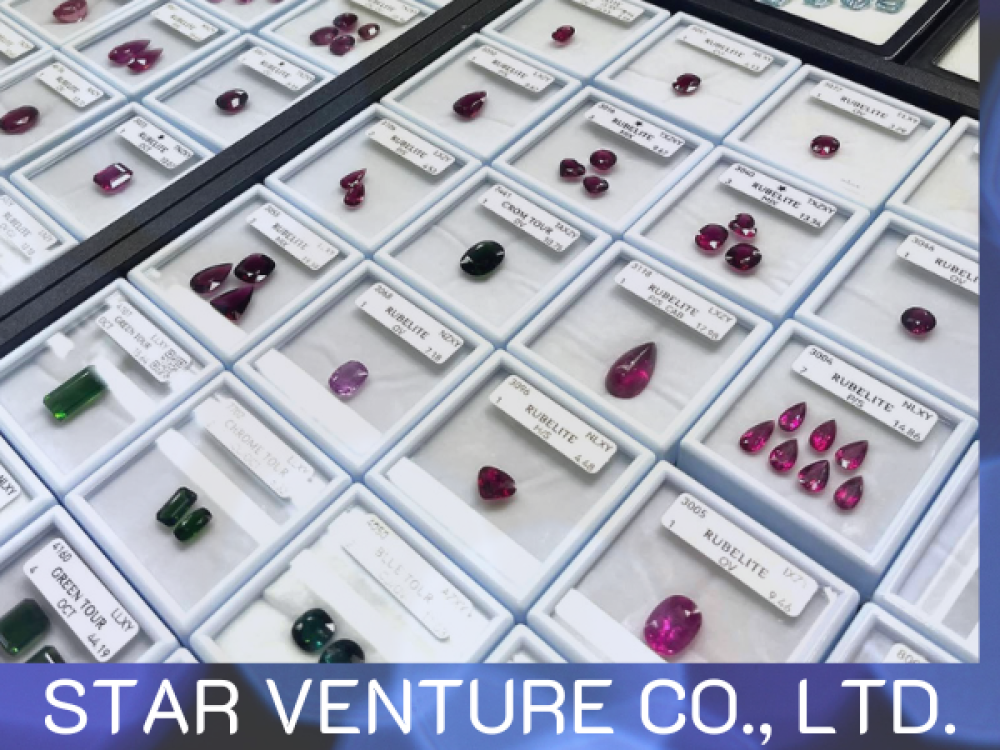 STAR VENTURE CO., LTD.