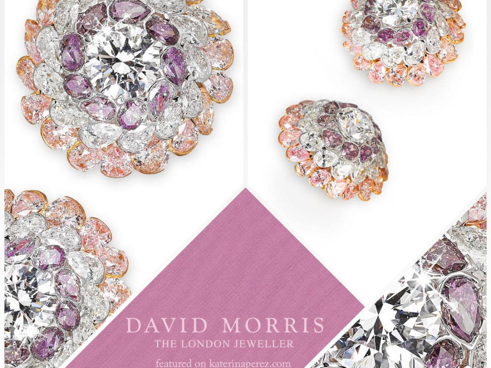 DAVID MORRIS (THAILAND) LIMITED