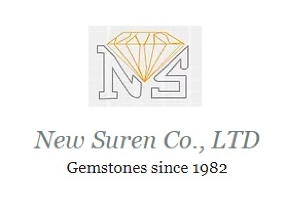 New Suren Co.,Ltd.